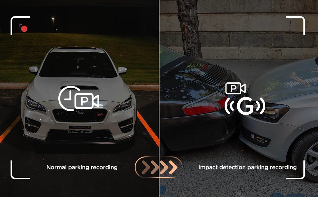 Viofo Global Việt Nam