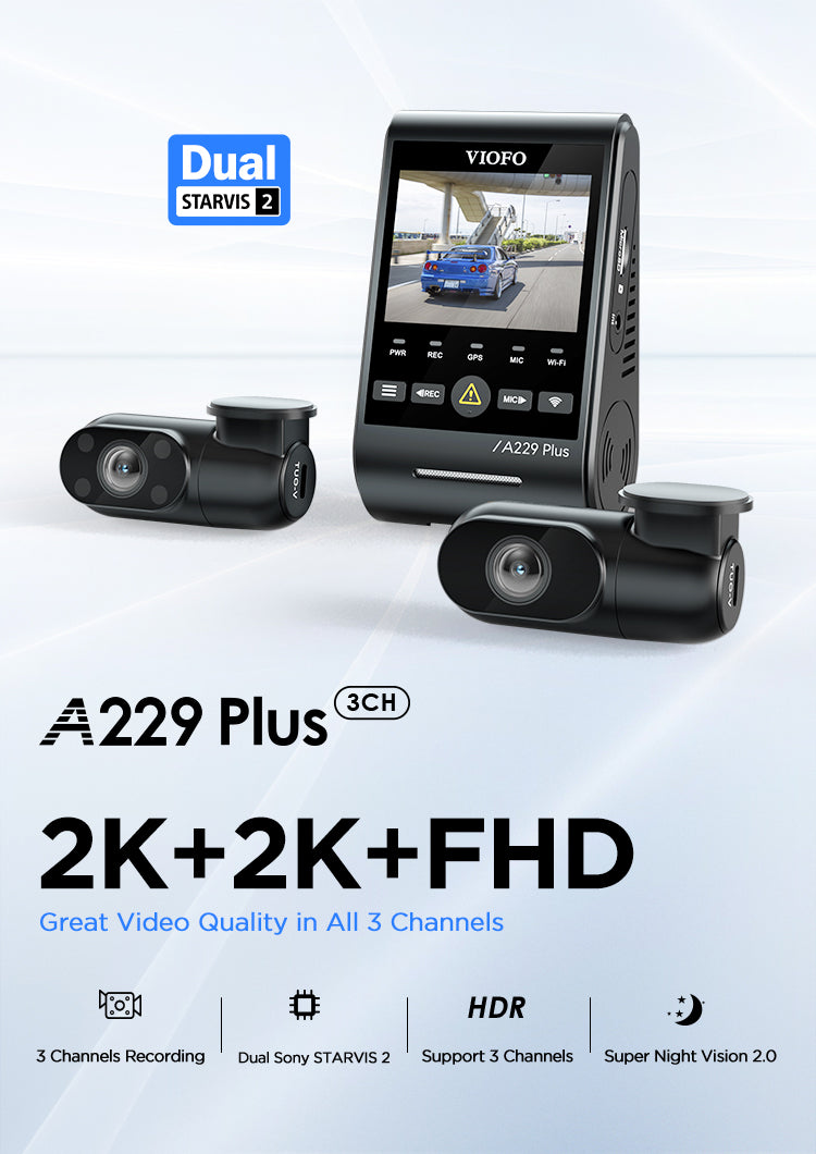 Viofo Global Việt Nam 5